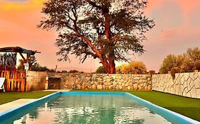 Lodge Las Rocas